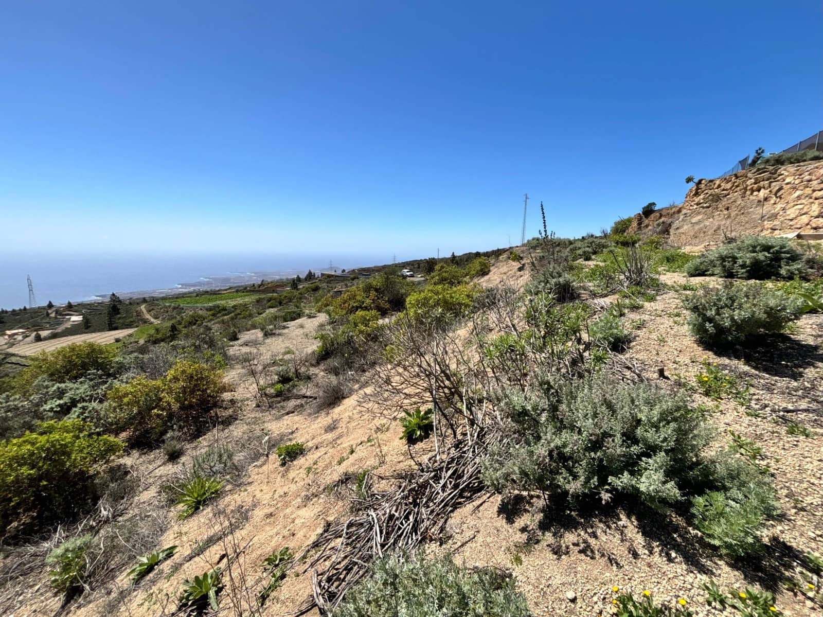 Ubebygd land til salgs i Fasnia - € 22 900 (Ref: 8886071)