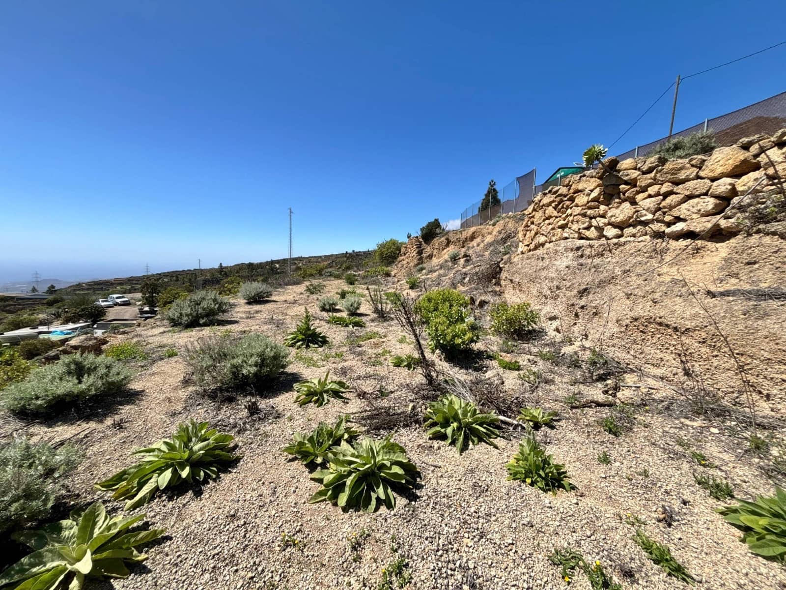 Ubebygd land til salgs i Fasnia - € 22 900 (Ref: 8886071)