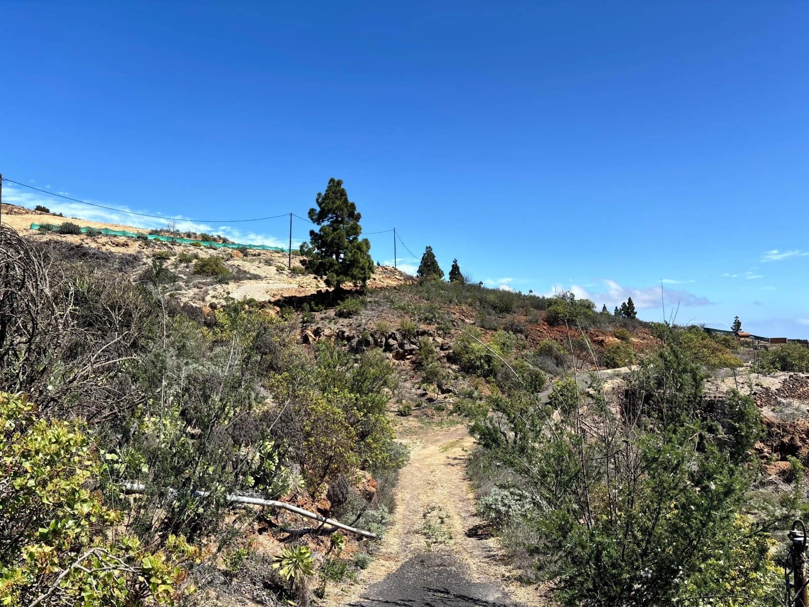 Ubebygd land til salgs i Fasnia - € 22 900 (Ref: 8886071)