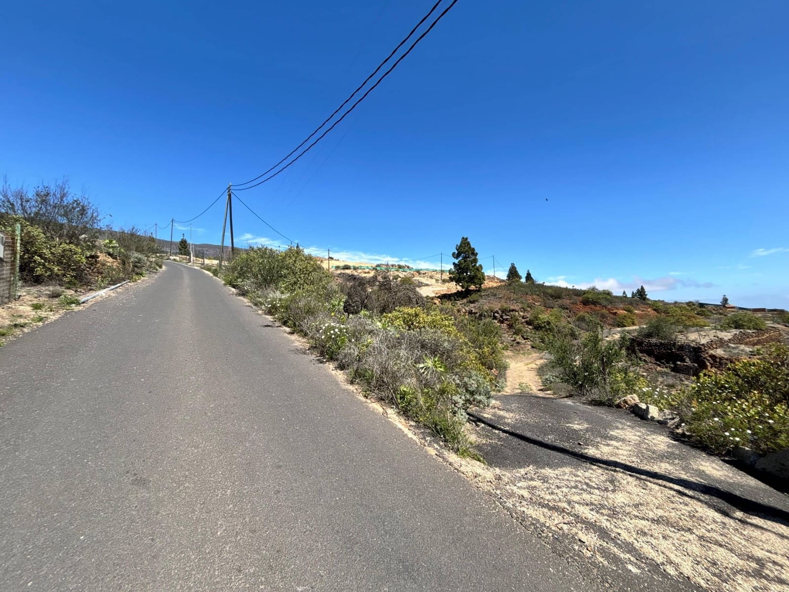 Ubebygd land til salgs i Fasnia - € 22 900 (Ref: 8886071)