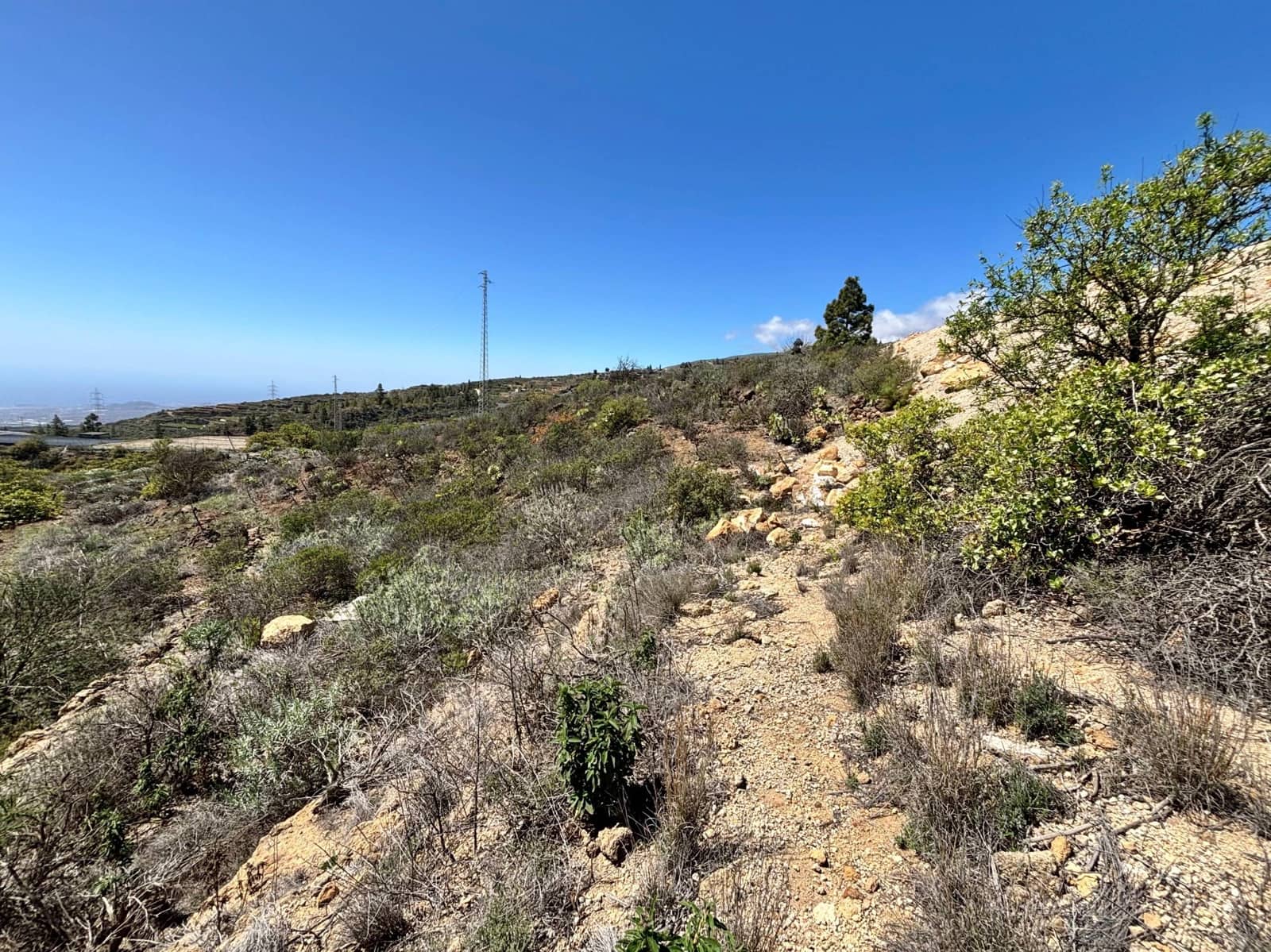 Ubebygd land til salgs i Fasnia - € 22 900 (Ref: 8886071)