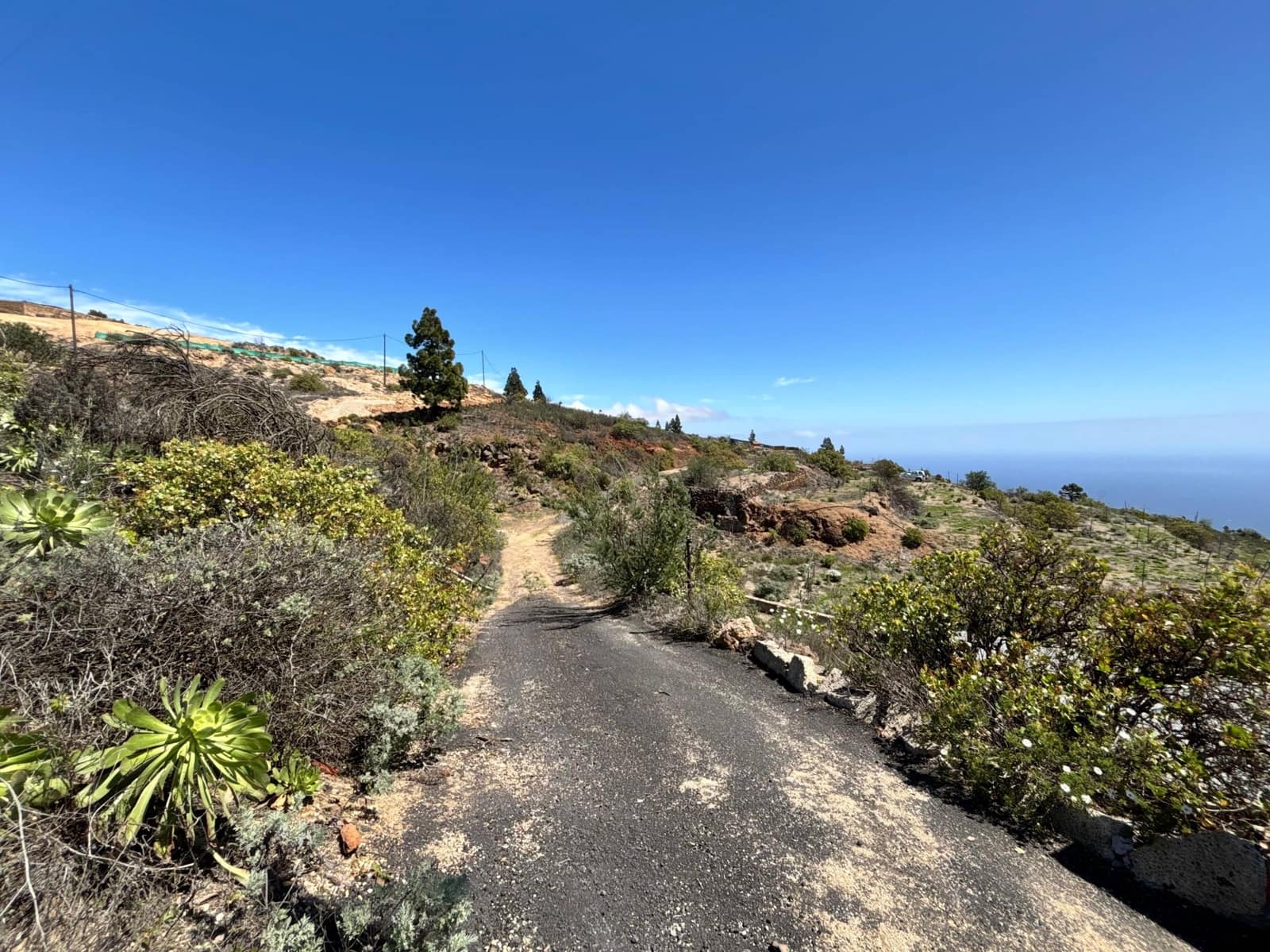 Ubebygd land til salgs i Fasnia - € 22 900 (Ref: 8886071)