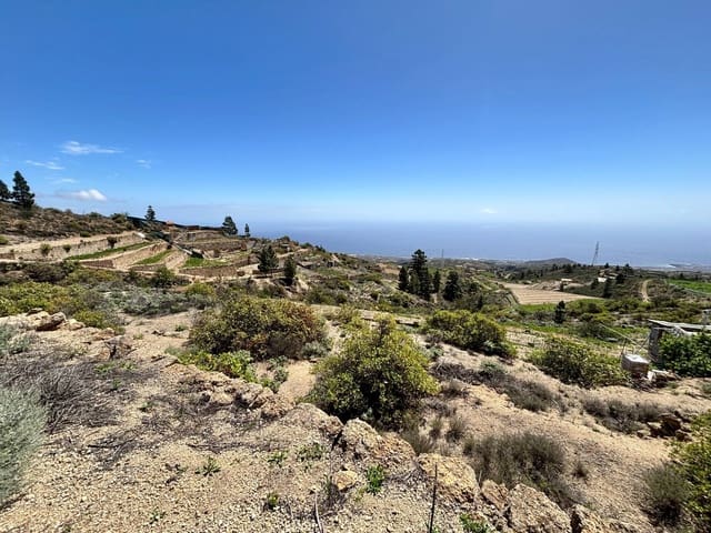 Undeveloped Land for sale in Fasnia - € 22,900 (Ref: 8886071)