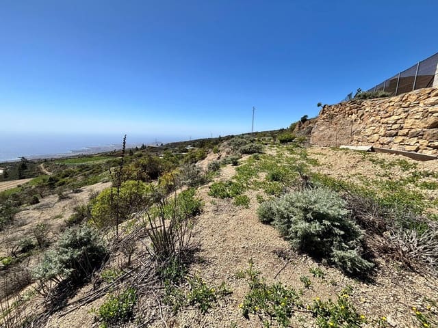 Undeveloped Land for sale in Fasnia - € 22,900 (Ref: 8886071)