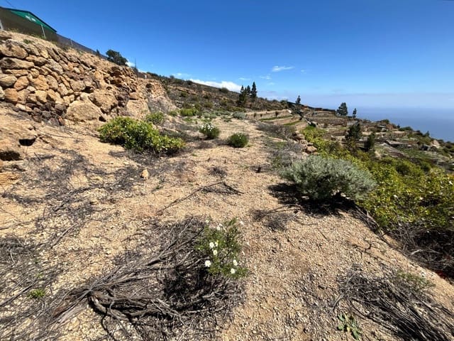 Undeveloped Land for sale in Fasnia - € 22,900 (Ref: 8886071)