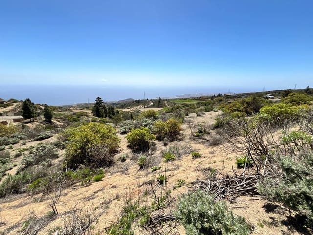 Undeveloped Land for sale in Fasnia - € 22,900 (Ref: 8886071)