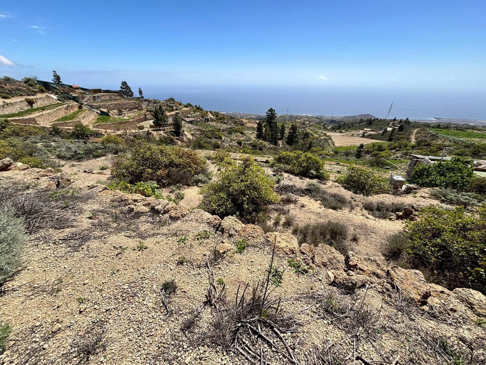 Ubebygd land til salgs i Fasnia - € 22 900 (Ref: 8886071)