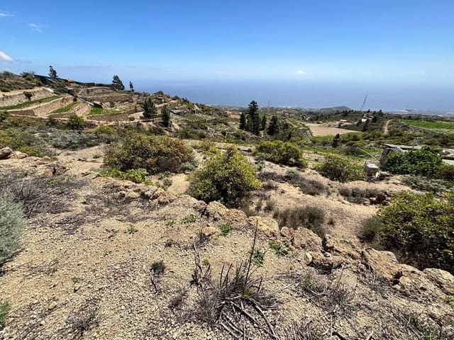 Undeveloped Land for sale in Fasnia - € 22,900 (Ref: 8886071)