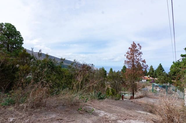 Teren niezagospodarowany na sprzedaż w Icod de los Vinos - 110 000 € (Ref: 8900119)