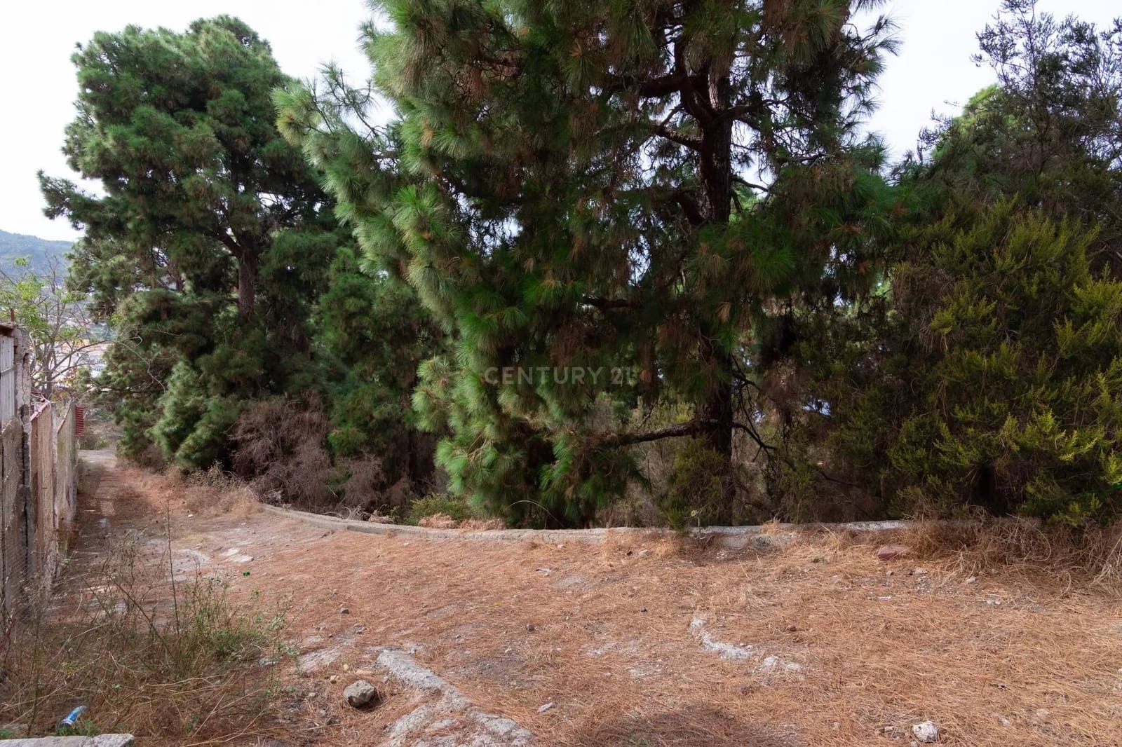 Teren niezagospodarowany na sprzedaż w Icod de los Vinos - 110 000 € (Ref: 8900119)