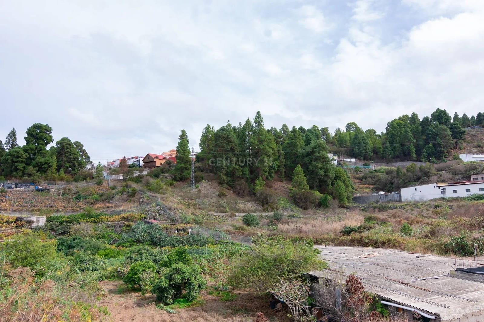 Ubebygd land til salgs i Icod de los Vinos - € 110 000 (Ref: 8900119)