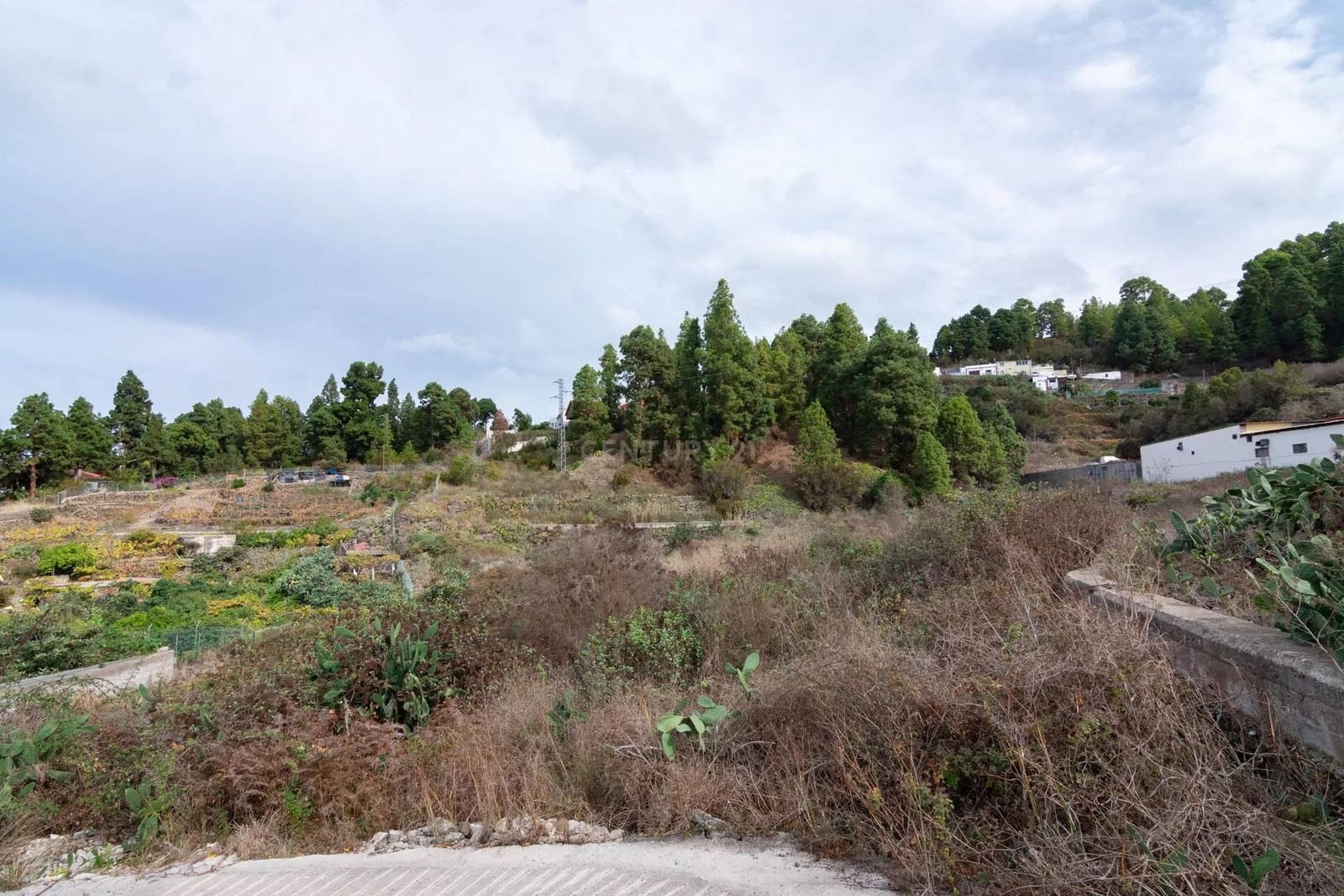 Ubebygd land til salgs i Icod de los Vinos - € 110 000 (Ref: 8900119)