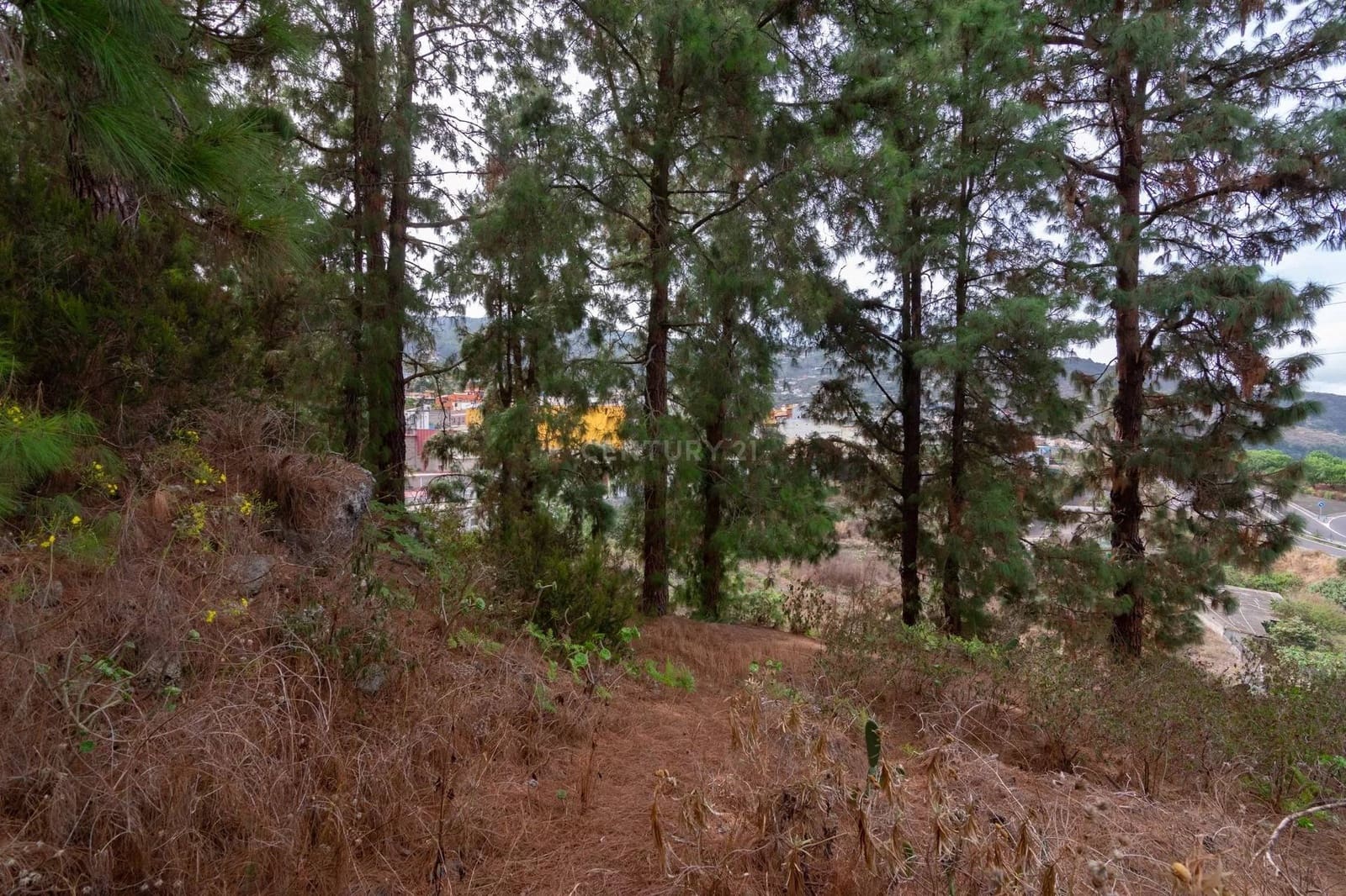 Ubebygd land til salgs i Icod de los Vinos - € 110 000 (Ref: 8900119)