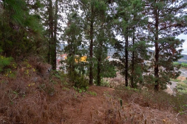 Terreno/Finca Rústica en Icod de los Vinos en venta - 110.000 € (Ref: 8900119)