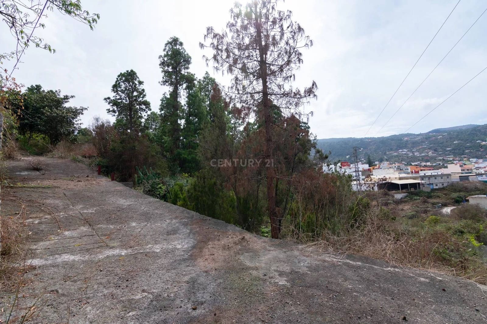 Ubebygd land til salgs i Icod de los Vinos - € 110 000 (Ref: 8900119)