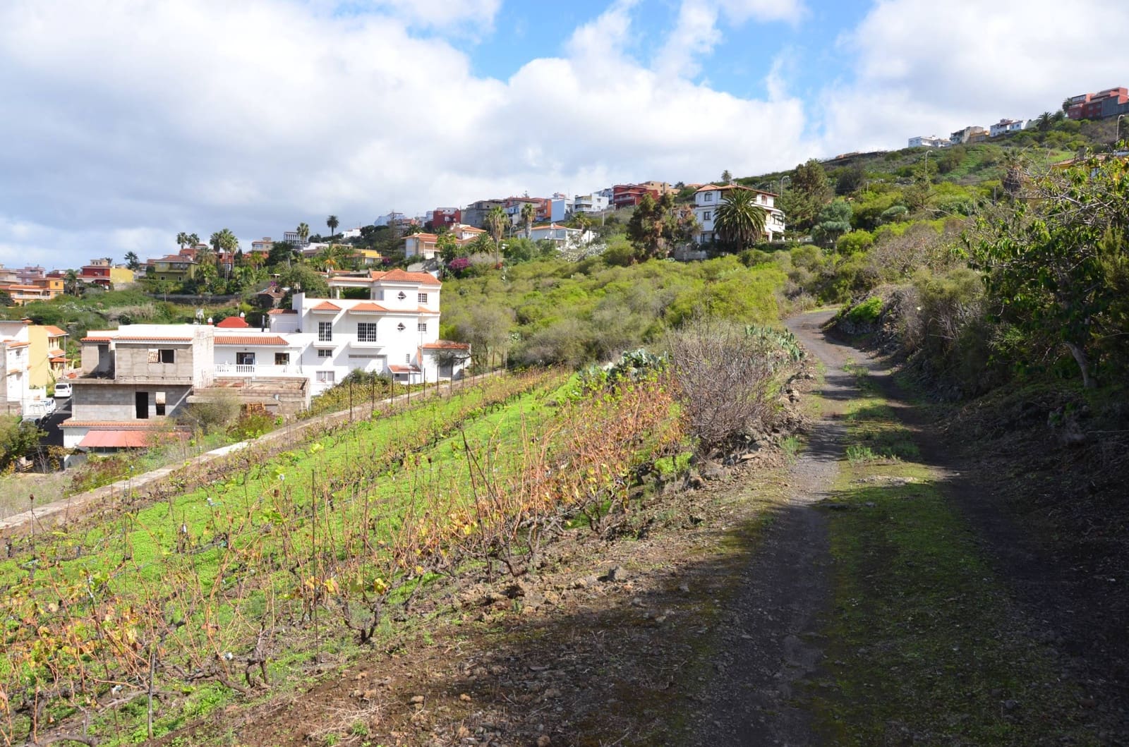 4 soveværelse Finca/Landehus til salg i Santa Ursula med garage - € 544.500 (Ref: 8900121)