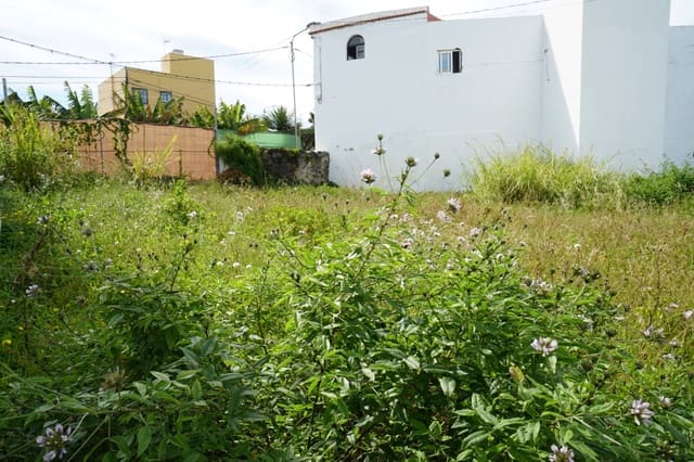 Byggegrund til salg i Moya - € 85.000 (Ref: 8913098)