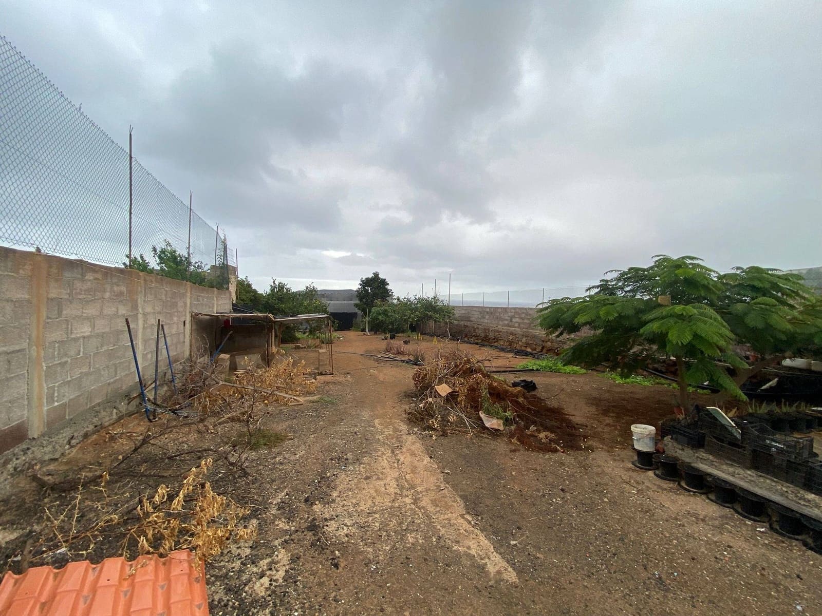 2 soveværelse Finca/Landehus til salg i Santa Maria de Guia de Gran Canaria - € 425.000 (Ref: 8941215)