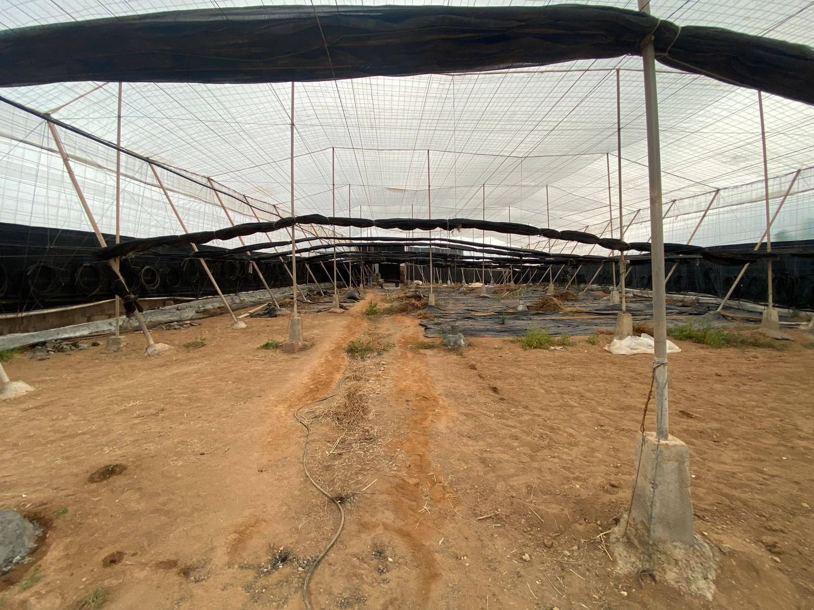 2 soveværelse Finca/Landehus til salg i Santa Maria de Guia de Gran Canaria - € 425.000 (Ref: 8941215)