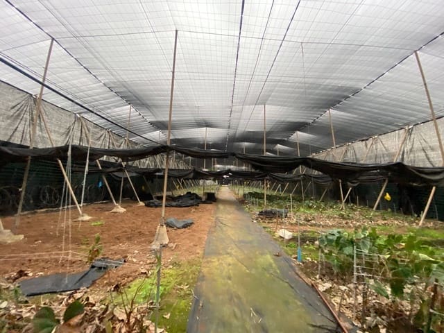 2 soveværelse Finca/Landehus til salg i Santa María de Guía de Gran Canaria - € 425.000 (Ref: 8941215)