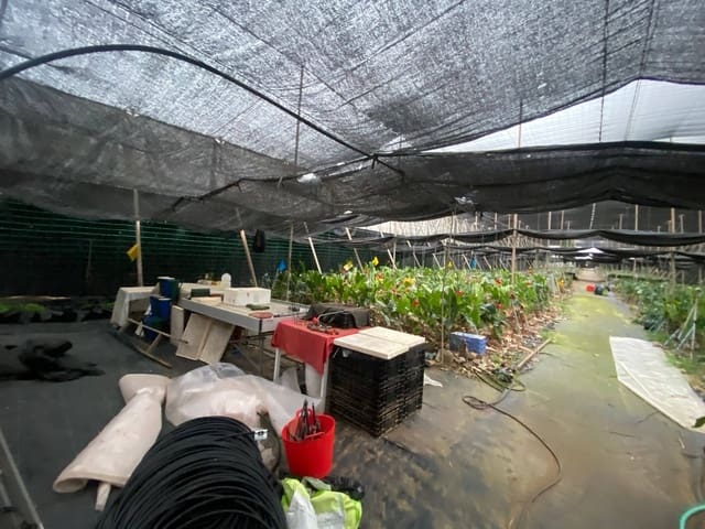 2 soveværelse Finca/Landehus til salg i Santa María de Guía de Gran Canaria - € 425.000 (Ref: 8941215)