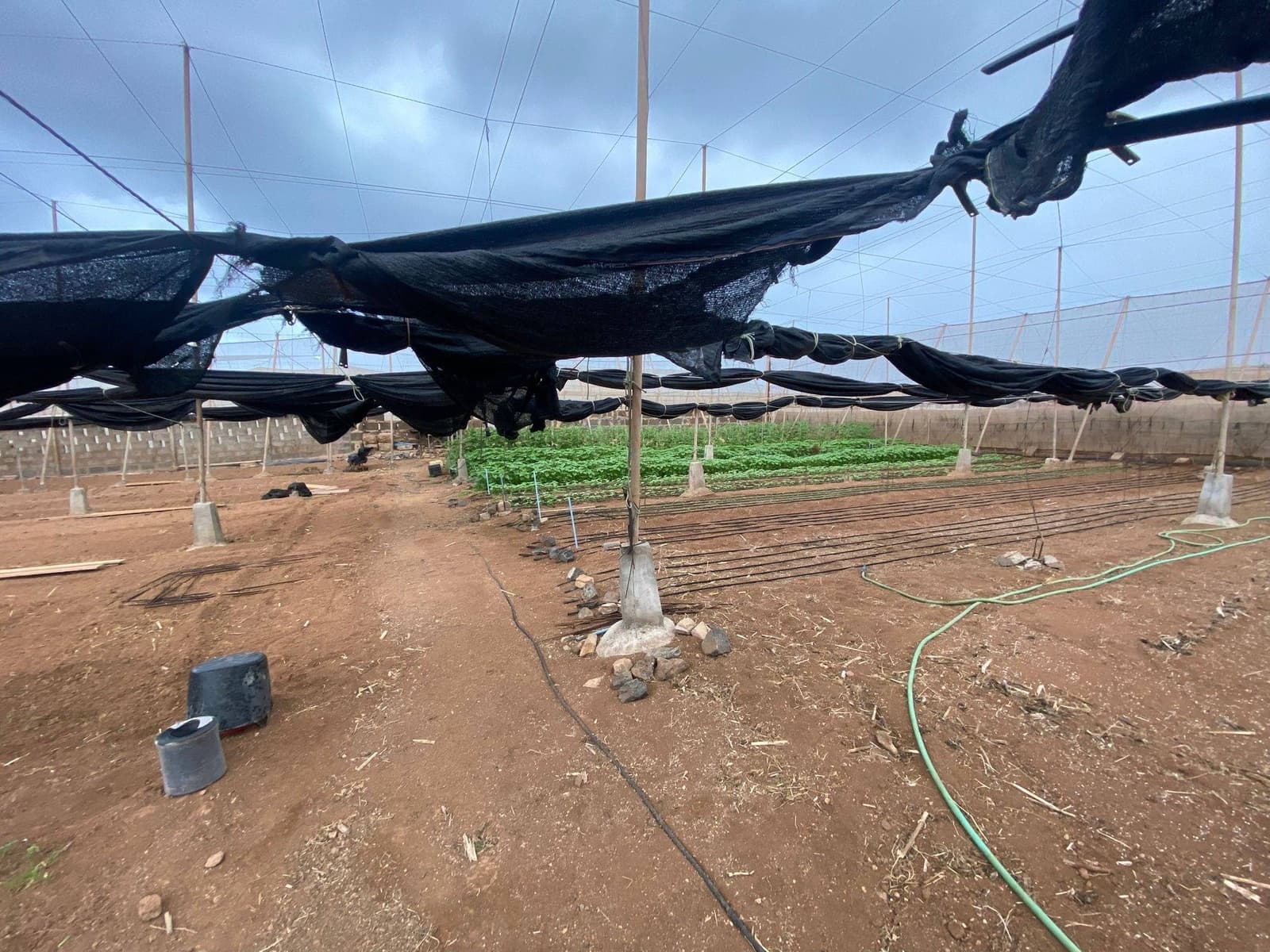 2 soveværelse Finca/Landehus til salg i Santa Maria de Guia de Gran Canaria - € 425.000 (Ref: 8941215)