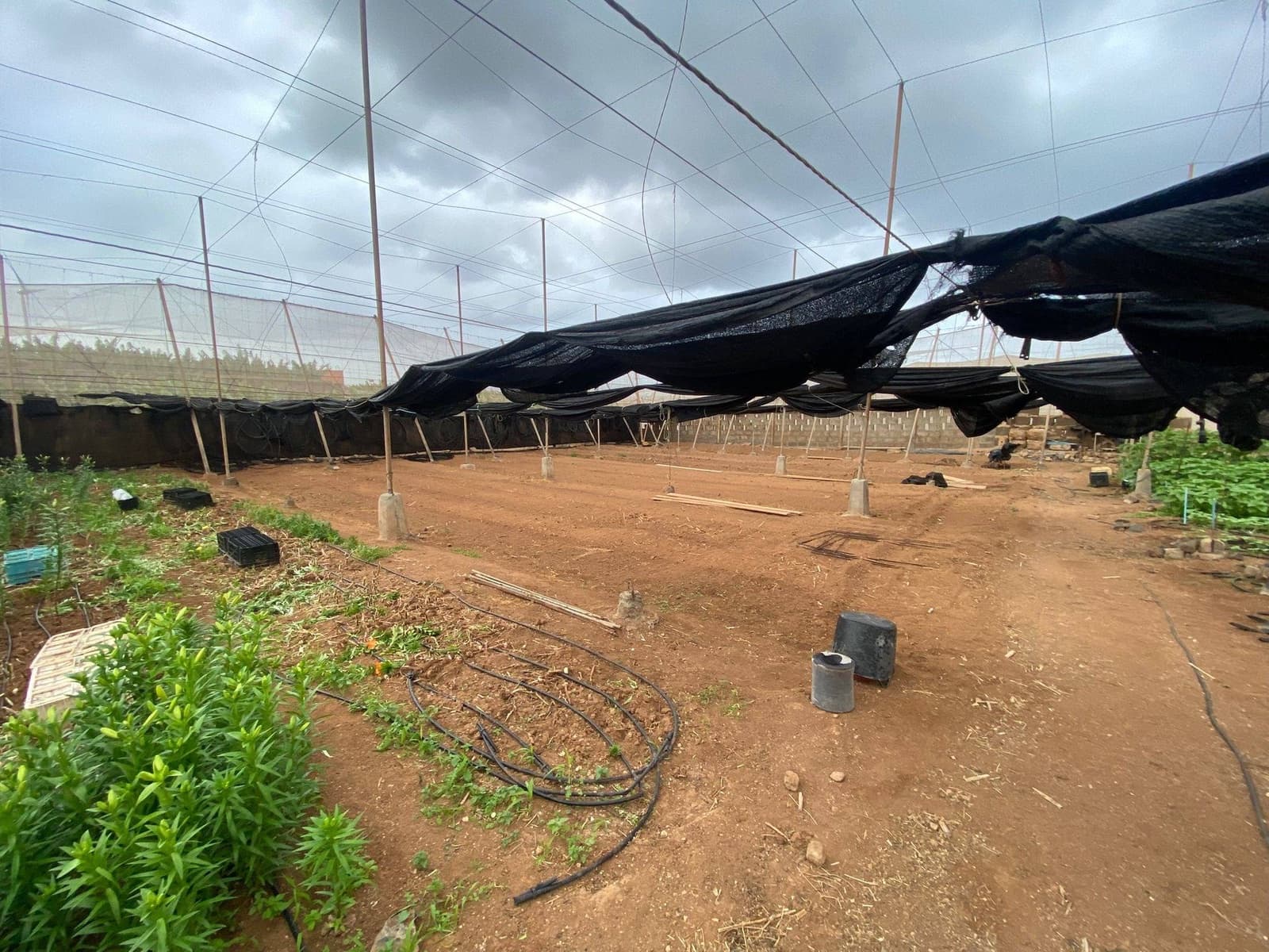 2 soveværelse Finca/Landehus til salg i Santa Maria de Guia de Gran Canaria - € 425.000 (Ref: 8941215)