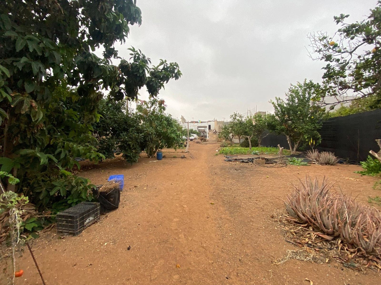 2 soveværelse Finca/Landehus til salg i Santa Maria de Guia de Gran Canaria - € 425.000 (Ref: 8941215)