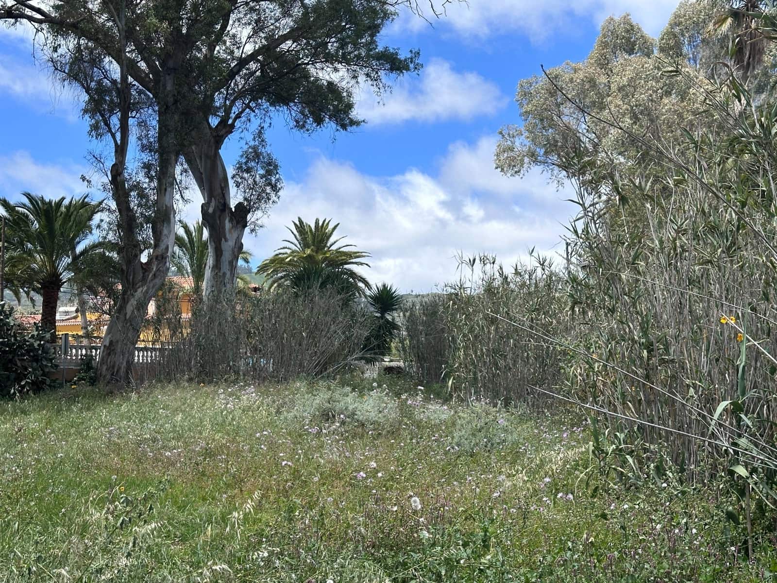 Area Edificabile in vendita in Santa Brigida - 112.000 € (Rif: 8941217)