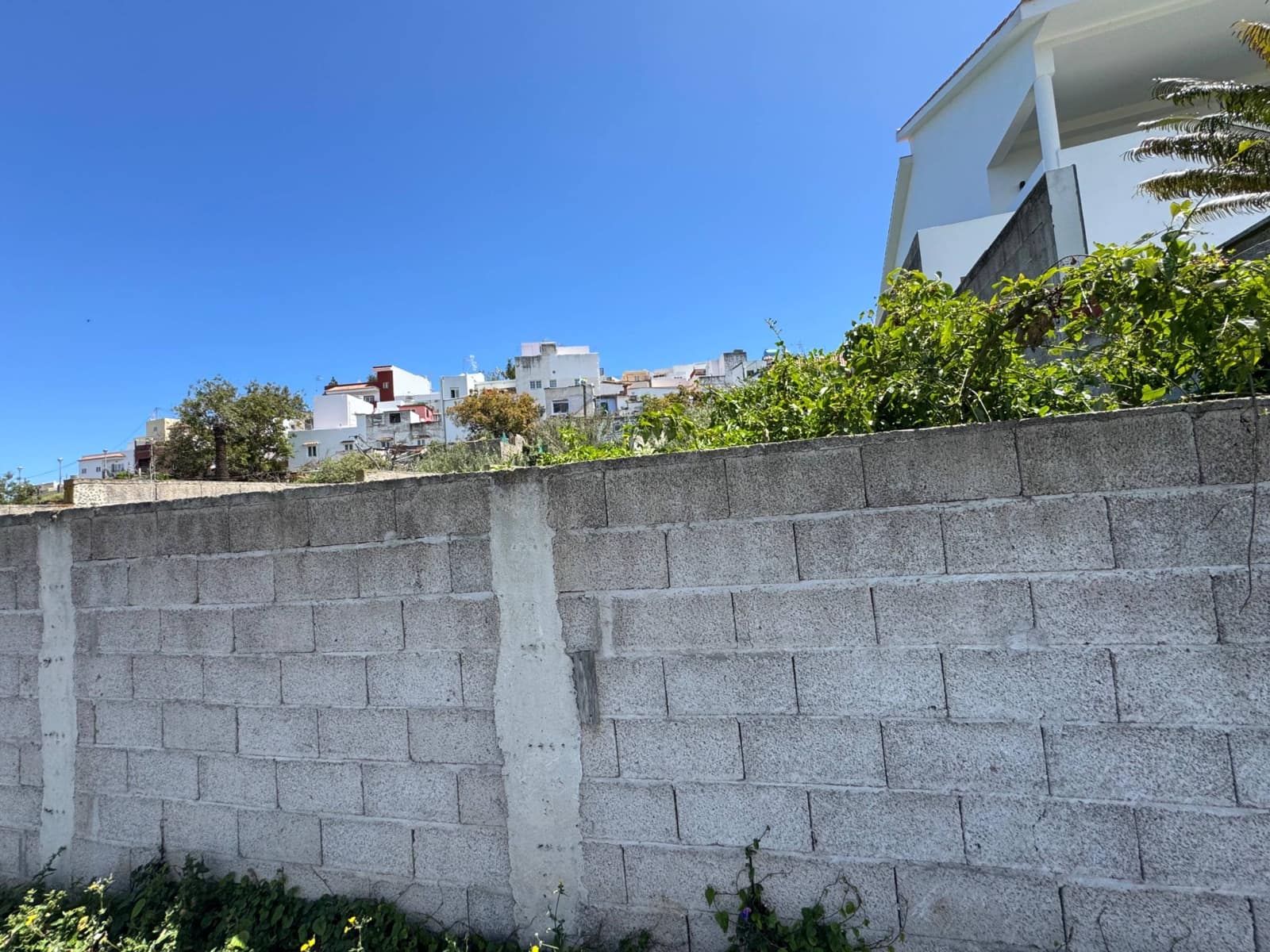 Byggegrund til salg i Firgas - € 60.000 (Ref: 8954263)