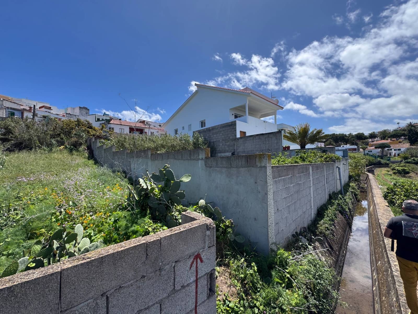 Tontti myytävänä paikassa Firgas - 60 000 € (Ref: 8954263)