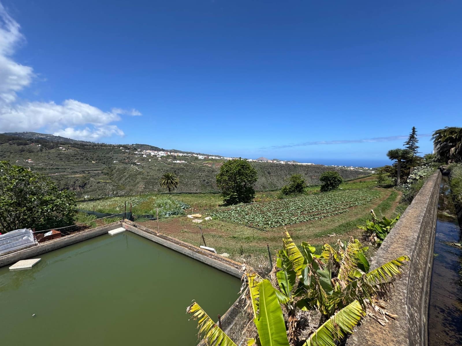 Tontti myytävänä paikassa Firgas - 60 000 € (Ref: 8954263)