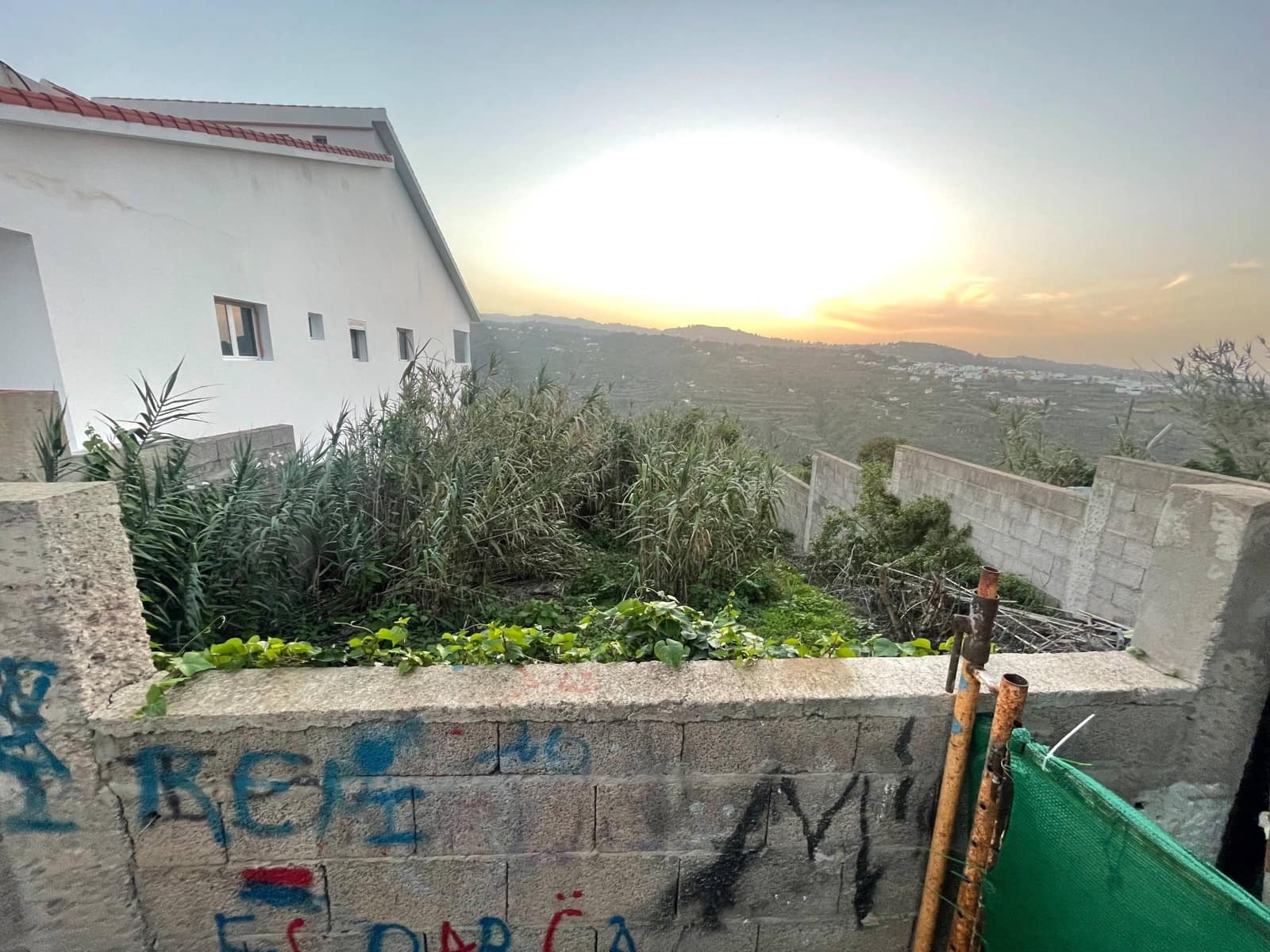 Tontti myytävänä paikassa Firgas - 60 000 € (Ref: 8954263)