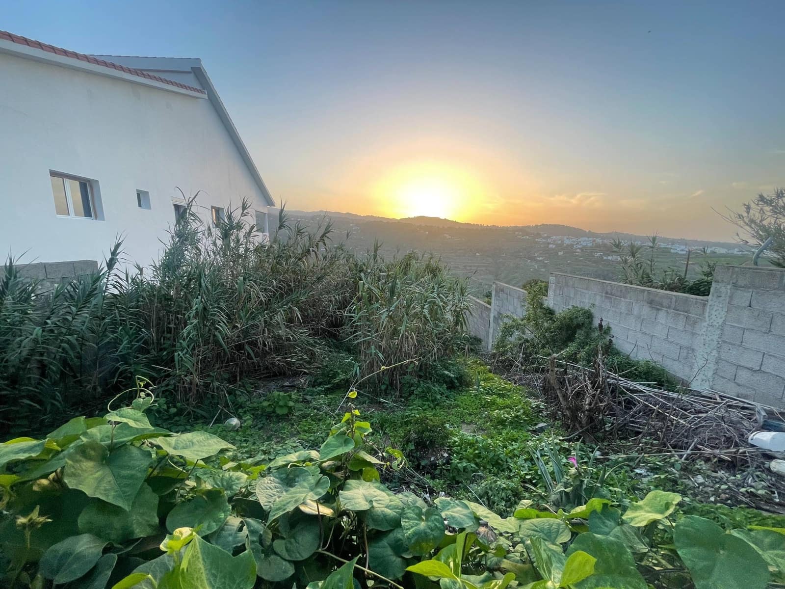 Tontti myytävänä paikassa Firgas - 60 000 € (Ref: 8954263)