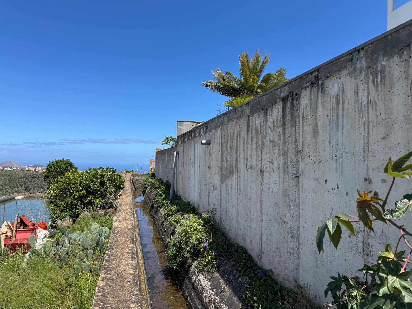 Tontti myytävänä paikassa Firgas - 60 000 € (Ref: 8954263)