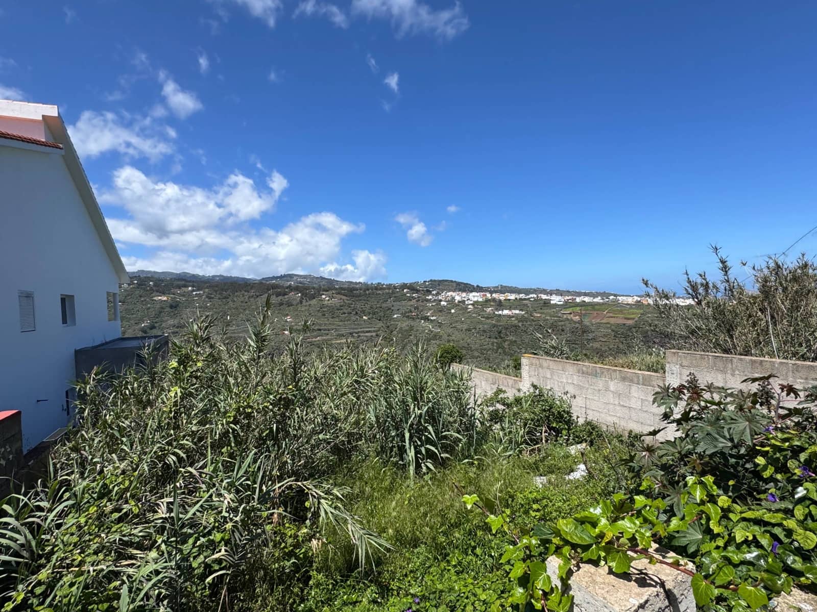 Tontti myytävänä paikassa Firgas - 60 000 € (Ref: 8954263)