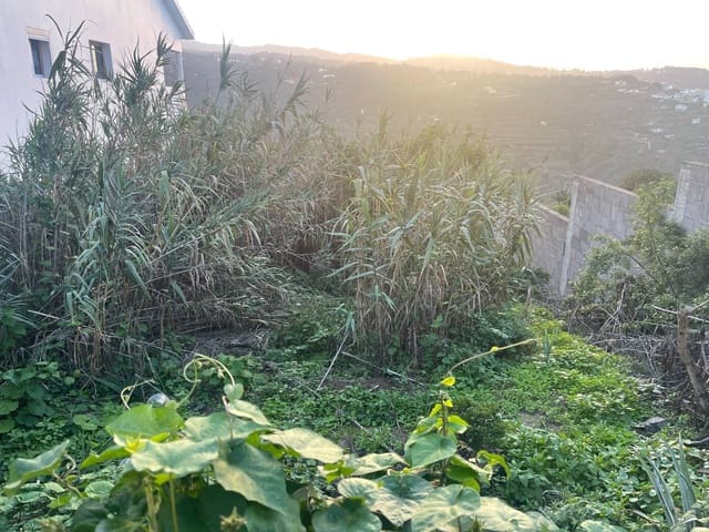 Building Plot for sale in Firgas - € 60,000 (Ref: 8954263)