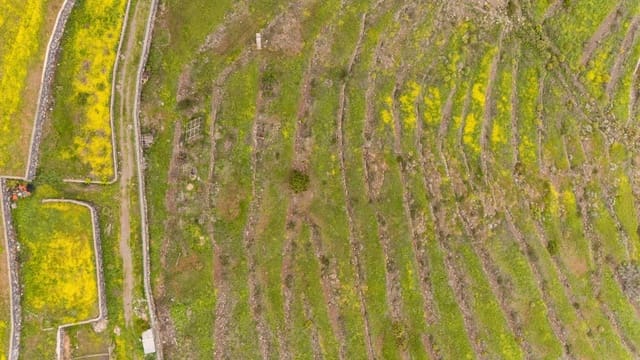 Undeveloped Land for sale in Las Moraditas, Adeje - € 96,000 (Ref: 8961587)