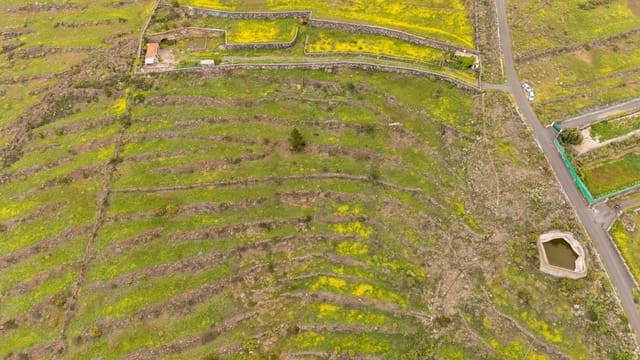 Undeveloped Land for sale in Las Moraditas, Adeje - € 96,000 (Ref: 8961587)