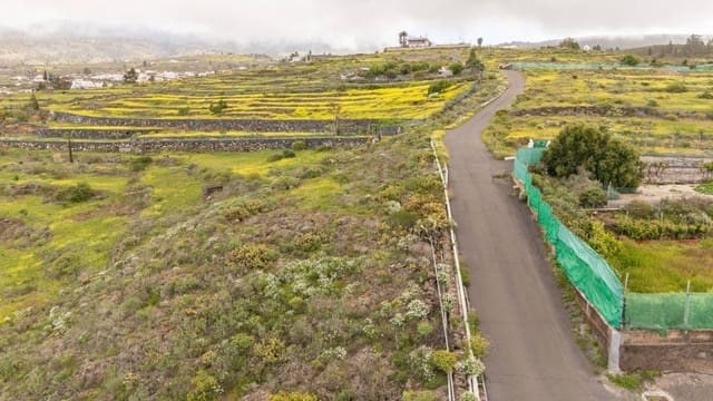 Landgrundstück zu verkaufen in Las Moraditas, Adeje - 96.000 € (Ref: 8961587)