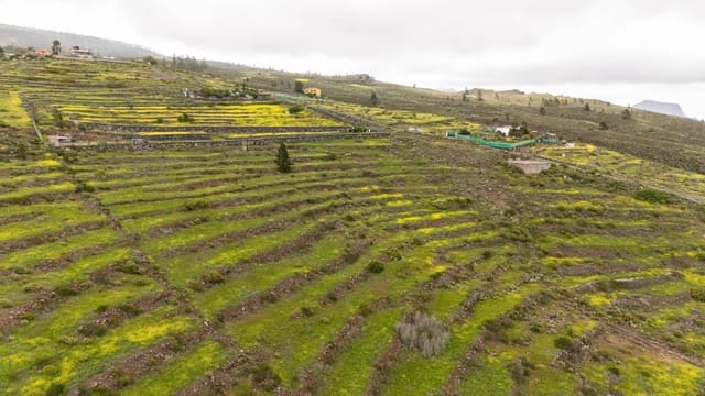 Landgrundstück zu verkaufen in Las Moraditas, Adeje - 96.000 € (Ref: 8961587)