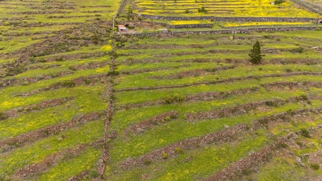 Landgrundstück zu verkaufen in Las Moraditas, Adeje - 96.000 € (Ref: 8961587)