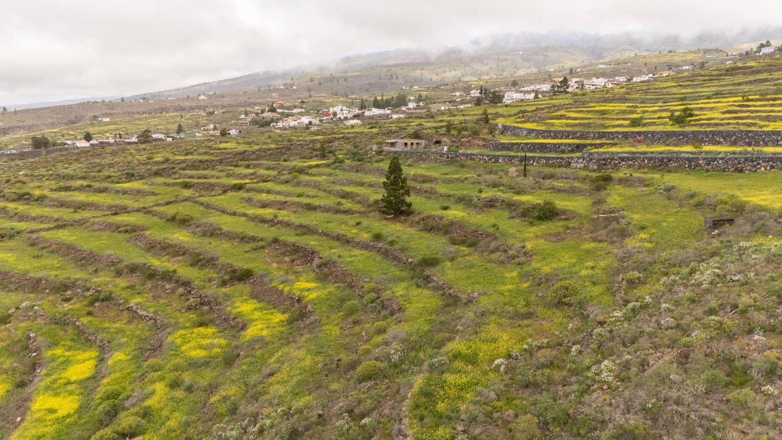 Mark till salu i Las Moraditas - 96 000 € (Ref: 8961587)