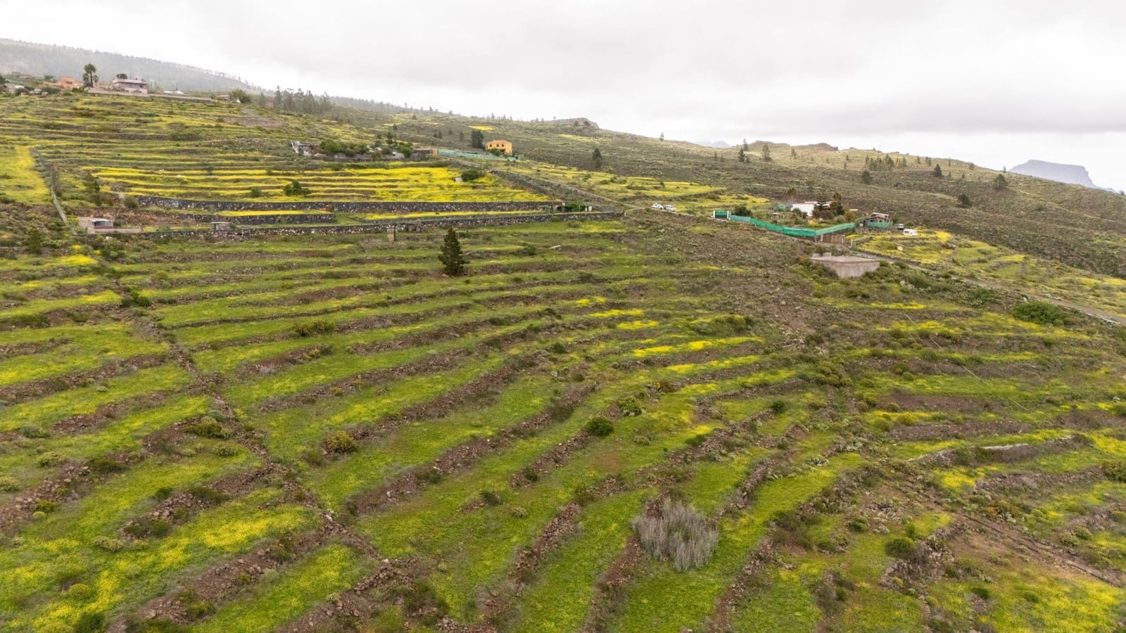 Terreno/Finca Rústica en Las Moraditas en venta - 96.000 € (Ref: 8961587)