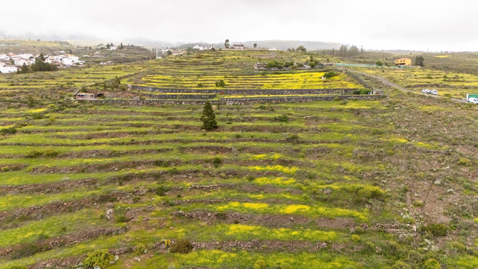 Terreno/Finca Rústica en Las Moraditas en venta - 96.000 € (Ref: 8961587)