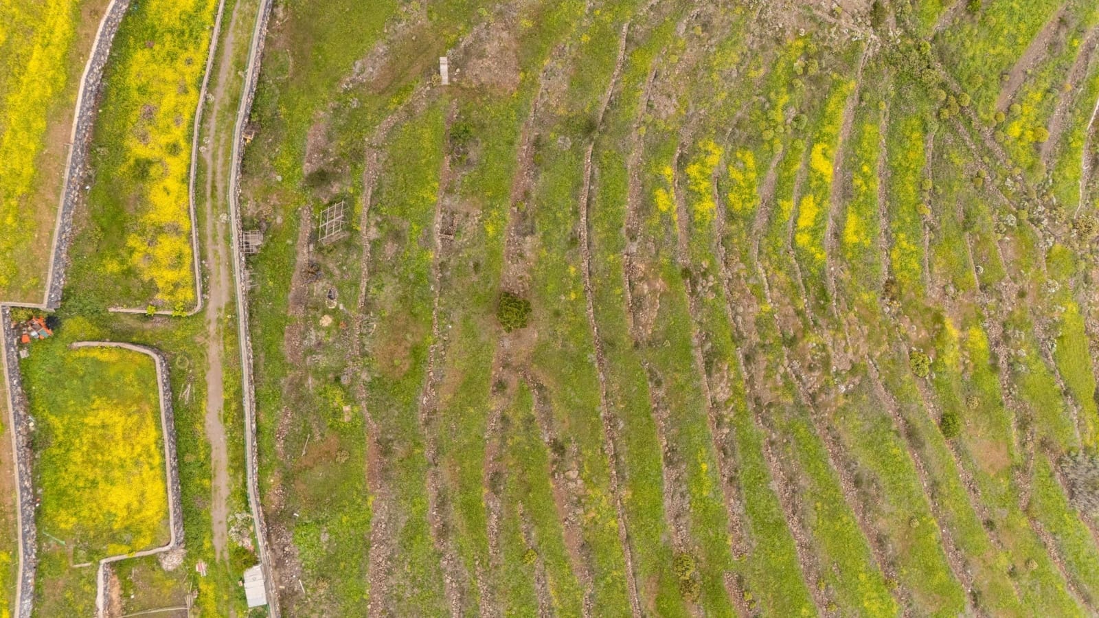 Terreno/Finca Rústica en Las Moraditas en venta - 96.000 € (Ref: 8961587)