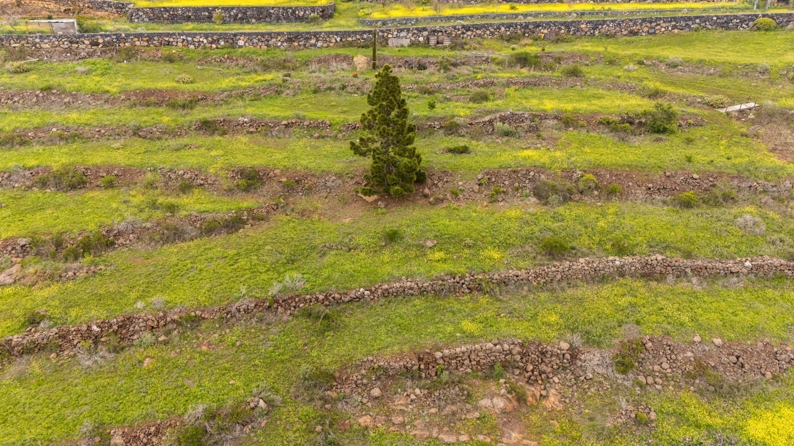 Terreno/Finca Rústica en Las Moraditas en venta - 96.000 € (Ref: 8961587)