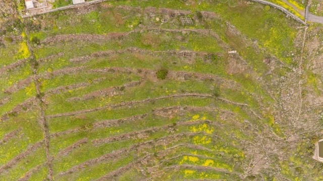 Terreno Não Urbanizado para venda em Las Moraditas, Adeje - 96 000 € (Ref: 8961587)