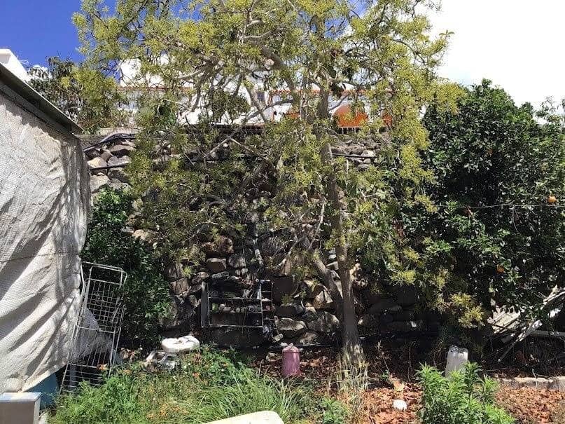 5 soveværelse Finca/Landehus til salg i El Salobre med garage - € 350.000 (Ref: 9015107)