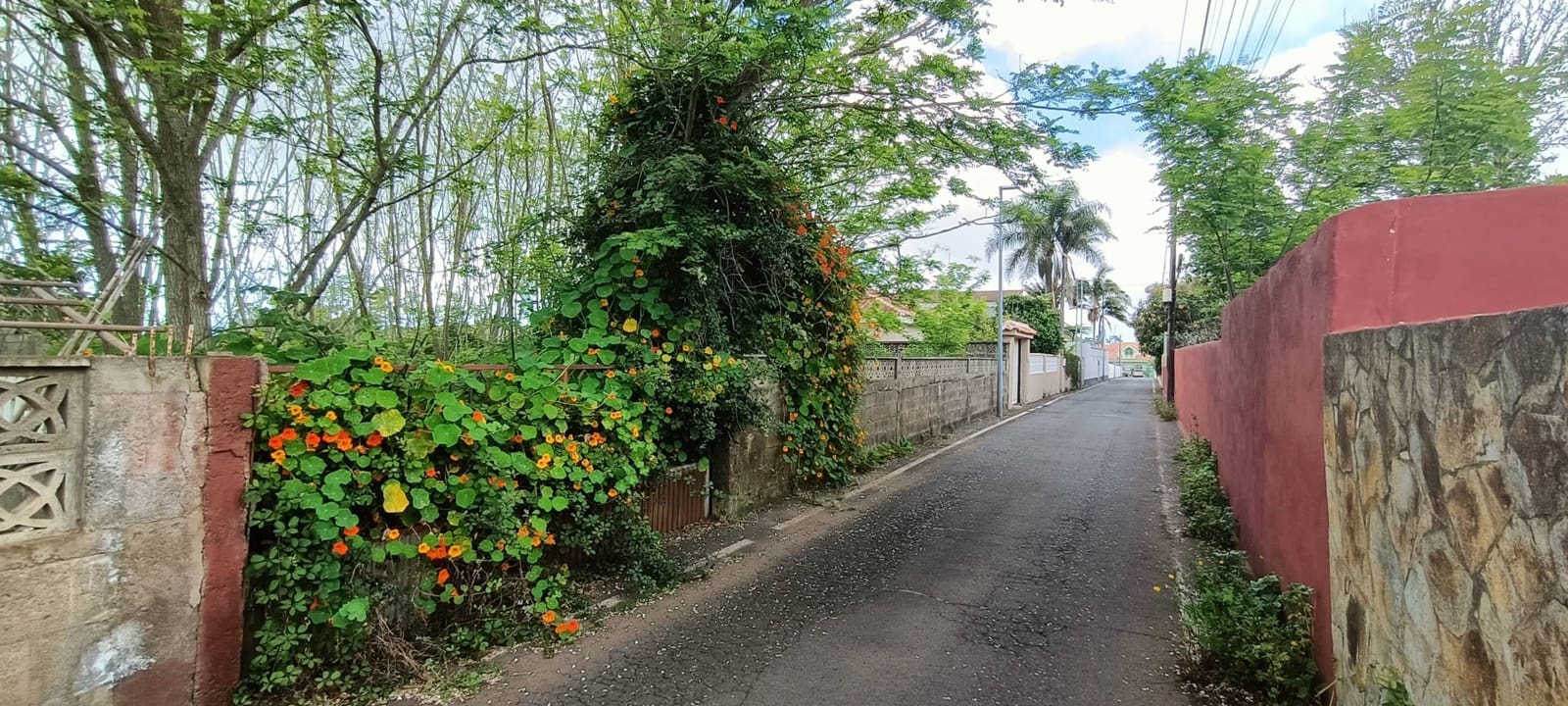 Building Plot for sale in San Cristobal de La Laguna - € 106,000 (Ref: 9048746)